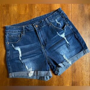 Ladies Denim Shorts, Size Large